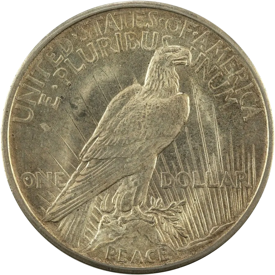 Peace dollar reverse: eagle perched on a rock with the word PEACE